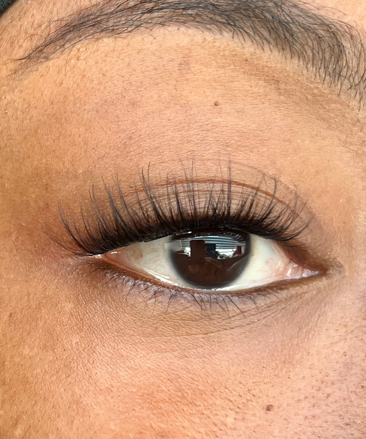 Raven Press On Lashes